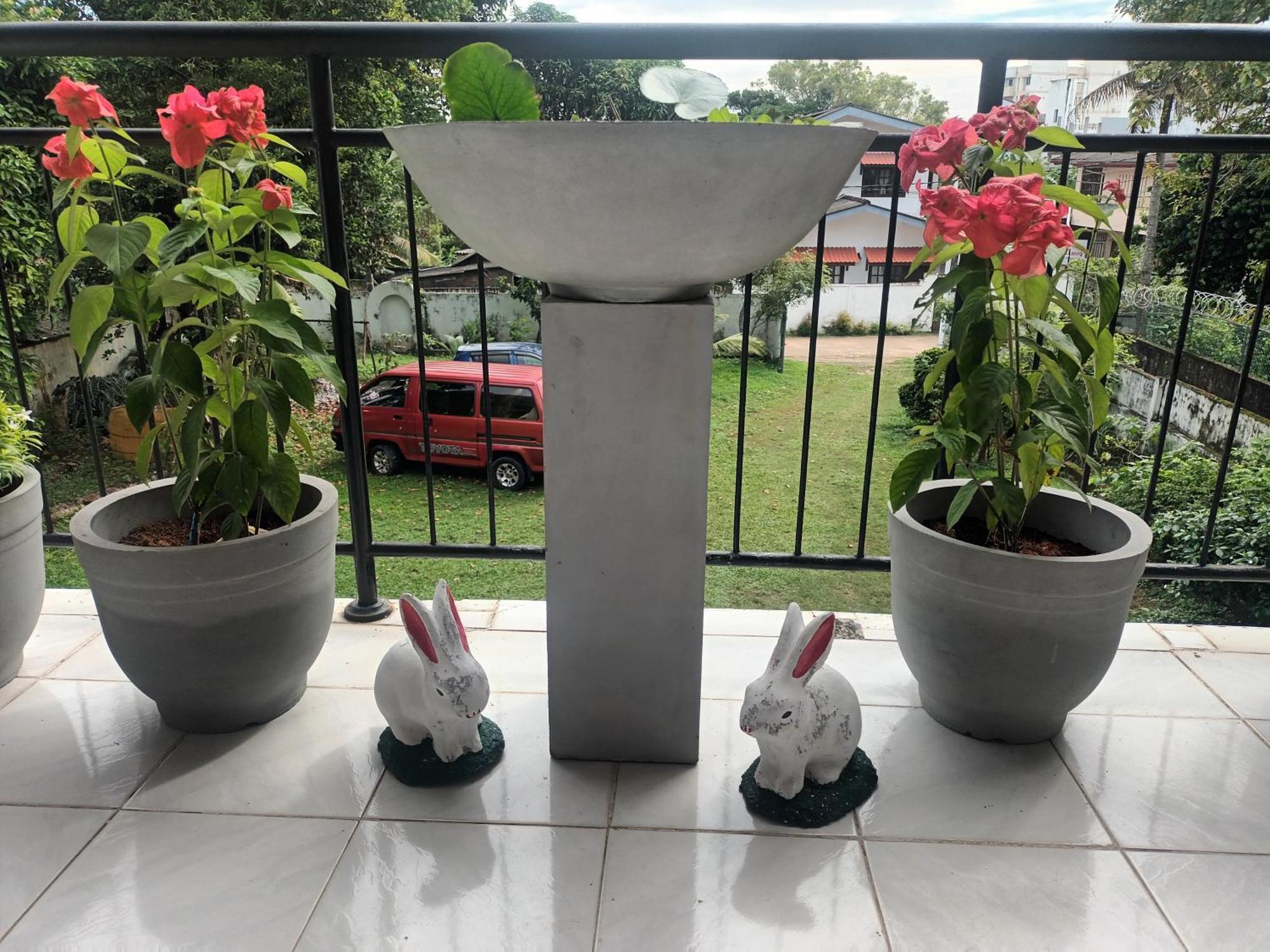 Lovely Flowers In Mount Lavinia Dehiwala-Mount Lavinia Exterior photo