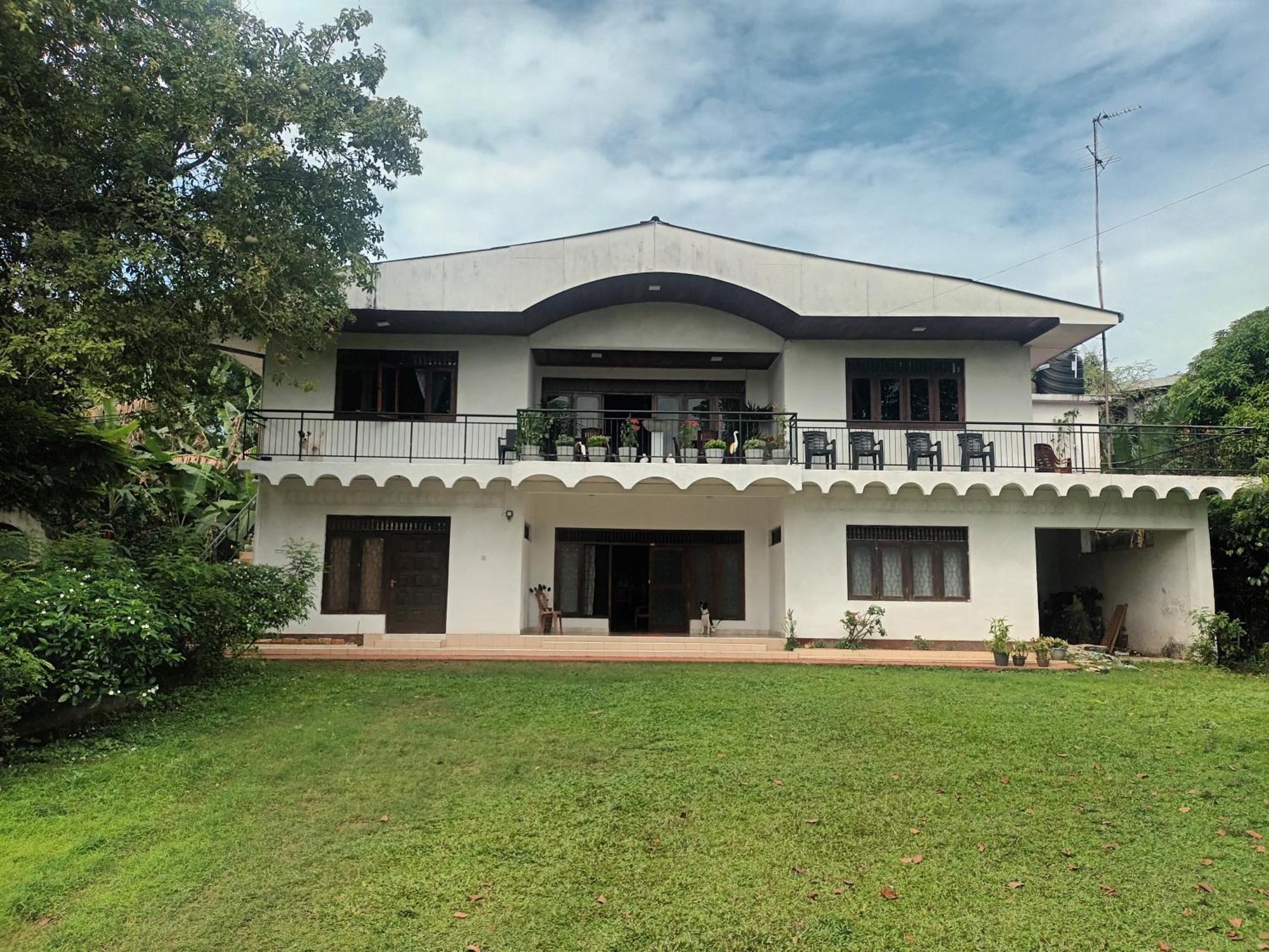 Lovely Flowers In Mount Lavinia Dehiwala-Mount Lavinia Exterior photo