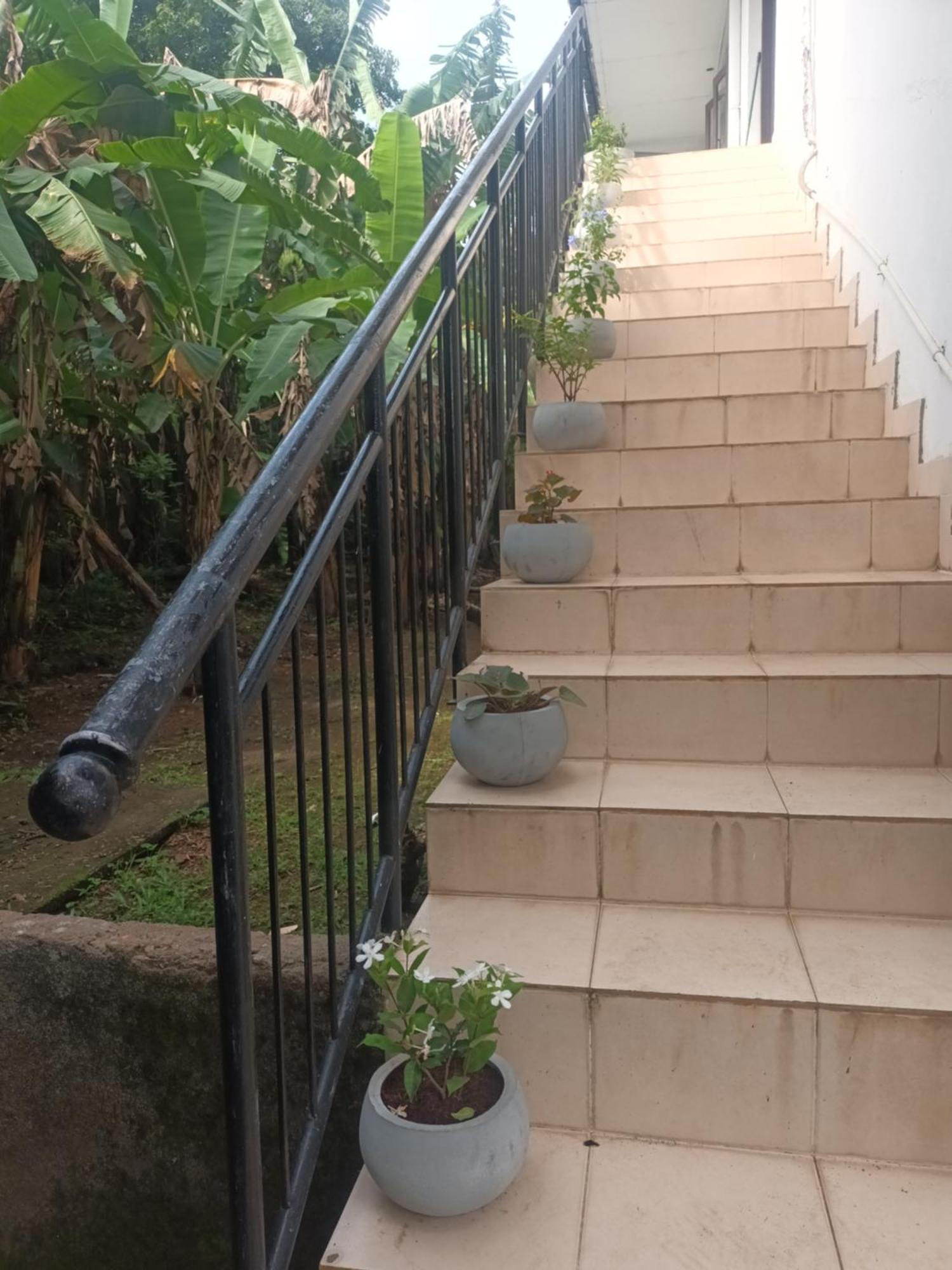 Lovely Flowers In Mount Lavinia Dehiwala-Mount Lavinia Exterior photo
