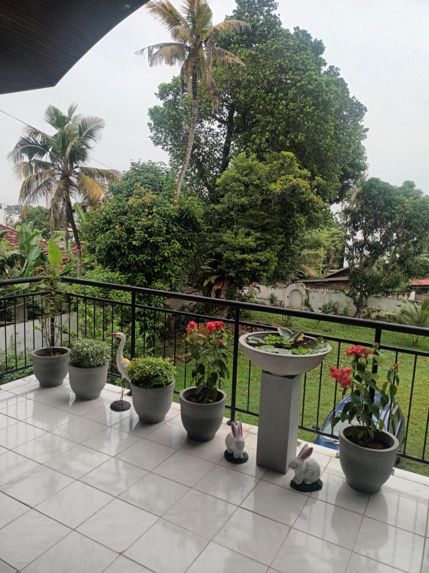 Lovely Flowers In Mount Lavinia Dehiwala-Mount Lavinia Exterior photo