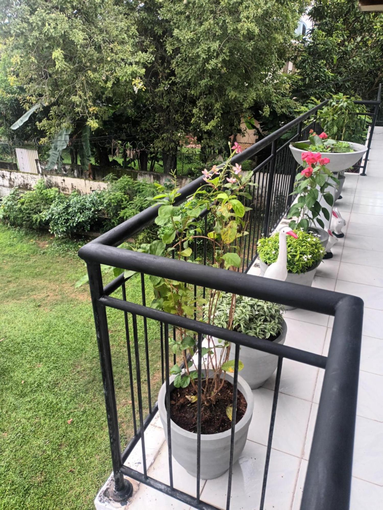 Lovely Flowers In Mount Lavinia Dehiwala-Mount Lavinia Exterior photo